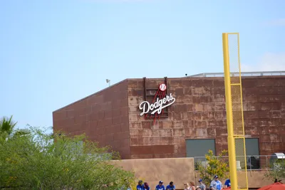 DSC_1543 (Large).JPG